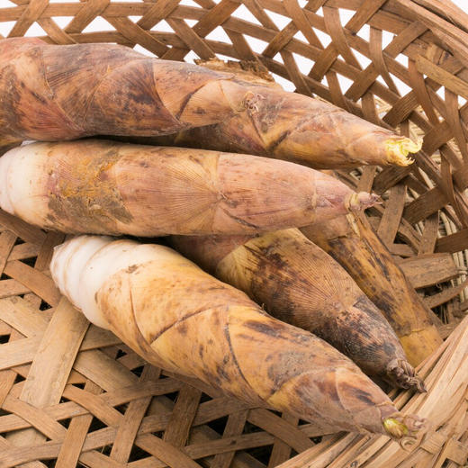 【下单后48小时发货】临安 天目山 春笋5斤装左右（15-25根左右） 商品图4