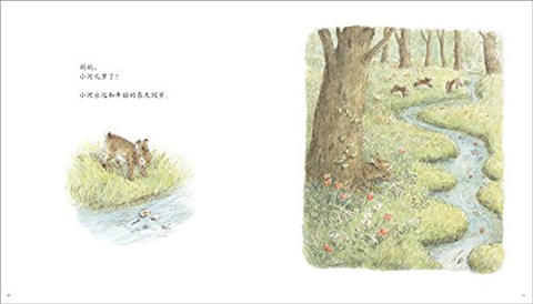 蒲蒲兰获奖绘本： 妈妈，为什么？ 谷川俊太郎著 3-4-5-6岁  正版 商品图3