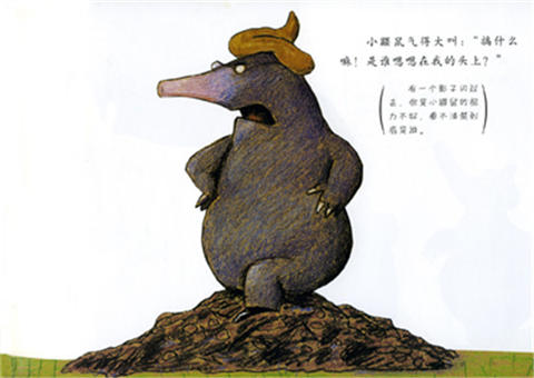 启发 是谁嗯嗯在我的头上 维尔纳·霍尔茨瓦特 3-4-5-6岁 正版 商品图2