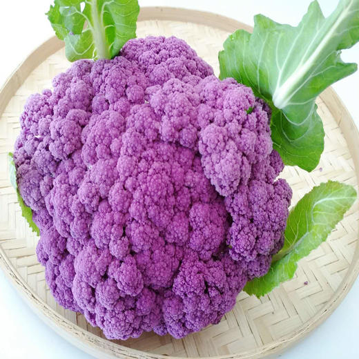 紫菜花 500g 商品图1