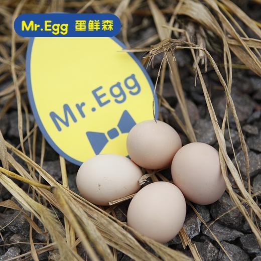 【直发】蛋鲜森林地散养土鸡蛋 (30枚/盒) 不与蔬菜一起发货 商品图0