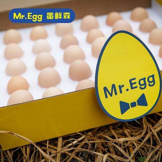 【直发】蛋鲜森林地散养土鸡蛋 (30枚/盒) 不与蔬菜一起发货 商品图1