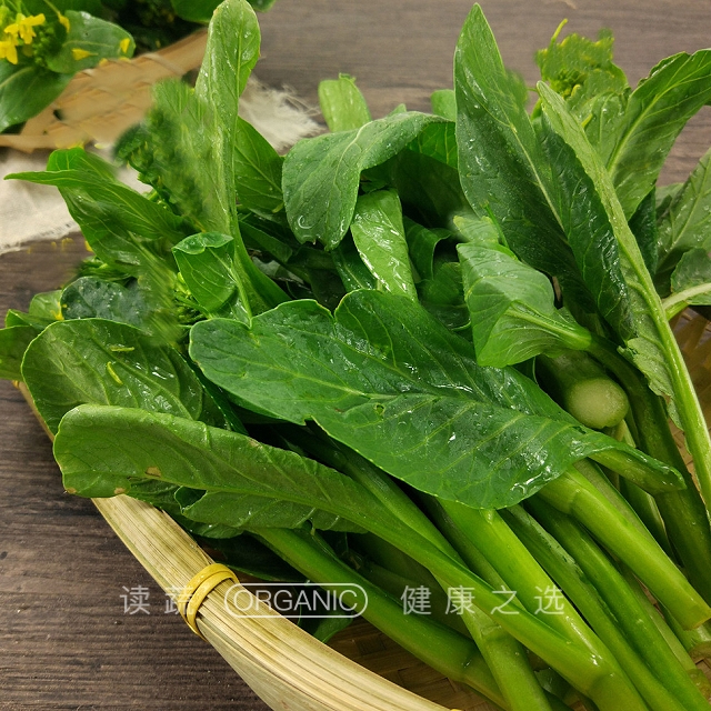 广东菜心 (400g)|生态健康