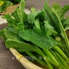 广东菜心 (400g)|生态健康 商品缩略图0