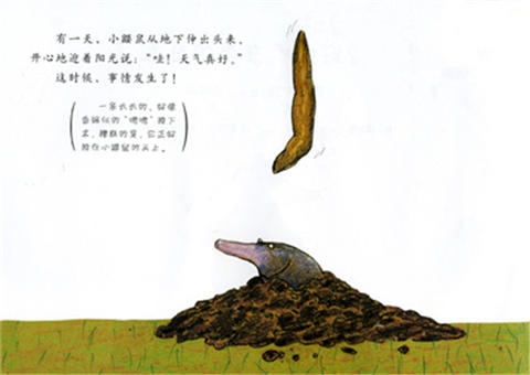 启发 是谁嗯嗯在我的头上 维尔纳·霍尔茨瓦特 3-4-5-6岁 正版 商品图1