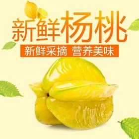 农家现摘杨桃新鲜 福建漳州特产树上熟 水果新鲜杨桃3-5斤包邮