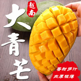 【经典芒果】新鲜越南大青芒果   肉嫩多汁  个大核薄 甜蜜美味