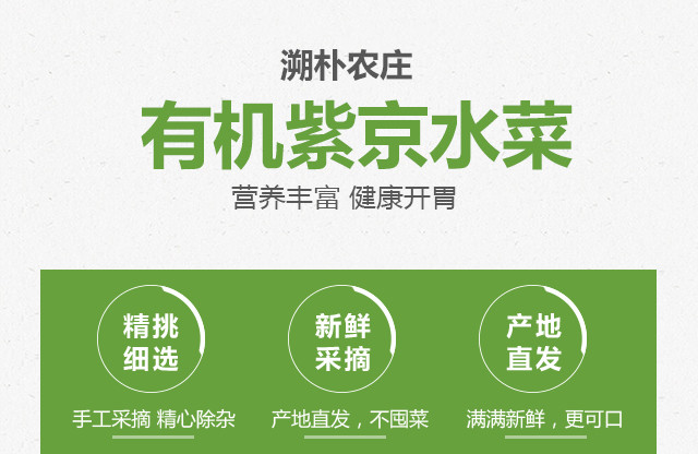 会员选菜紫京水菜400g