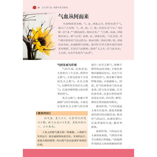 女人养气血 容颜不老百病消 商品图1