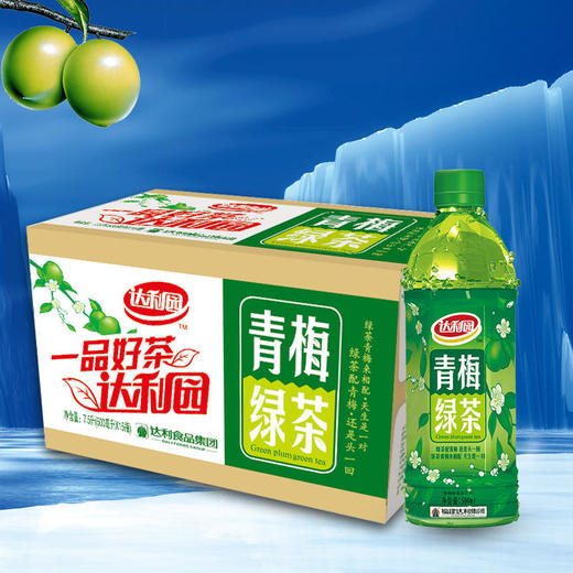500ml*16瓶达利园青梅绿茶 商品图0