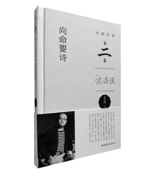 《向命要诗》沈浩波著（中国好诗·第二季）加10块钱邮费 商品图0