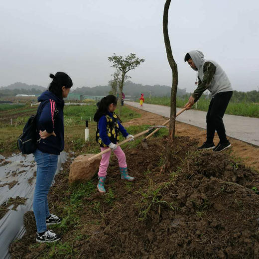 绿手指植树节认种活动 商品图1