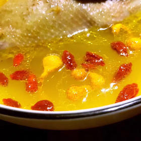 〔牧场直发包邮01〕30天纯粮乳鸽 / 三年老鸽子