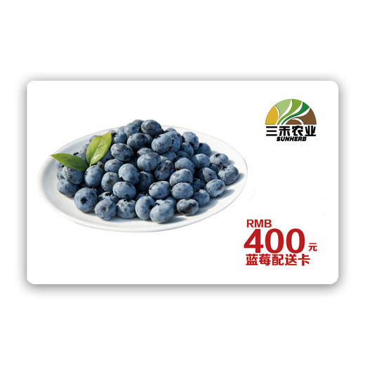 蓝莓月卡 商品图0