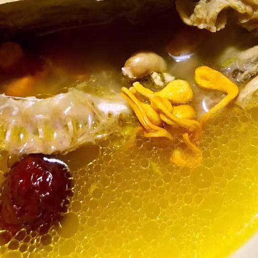 〔牧场直发包邮01〕30天纯粮乳鸽 / 三年老鸽子 商品图1