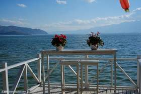 瘦瘦测试海淘商品