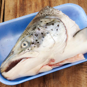 冷冻三文鱼头顺丰快递运费到付