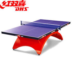 红双喜DHS 彩虹豪华球台比赛赛事用台乒乓球台球桌