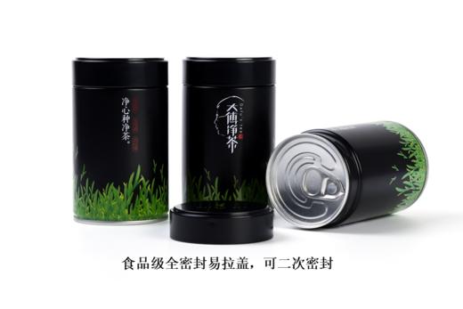 2026年特级明前龙井200g礼盒 大傅净茶 无农药零残留 商品图2