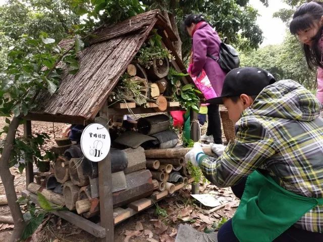 自然探究博物系列 | 虫虫特工队 - 昆虫生态旅馆