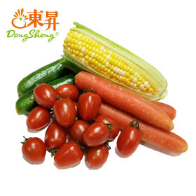 东升农场  蔬菜沙拉组合 金银玉米250G 小青瓜250G 小番茄250G 水果红萝卜250G