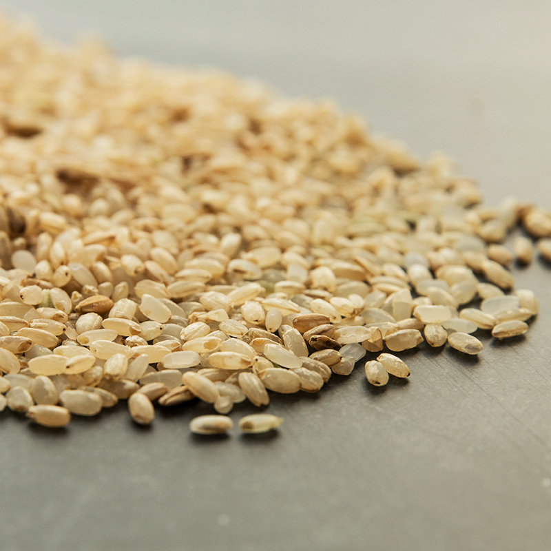 糙米---现定现碾，提前两天预定