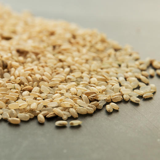 糙米---现定现碾，提前两天预定 商品图0