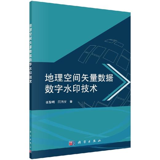 地理空间矢量数据数字水印技术 商品图0