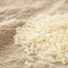 糦尚心田有机大米