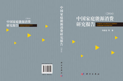 中国家庭能源消费研究报告2014 商品图3