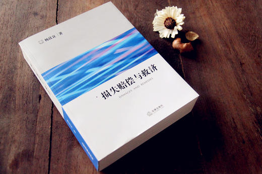 杨良宜先生英美合约法三部曲包邮购丨「合约的履行、弃权与禁反言」x「合约的解释：规则与应用」x 「损失赔偿与救济」 商品图5