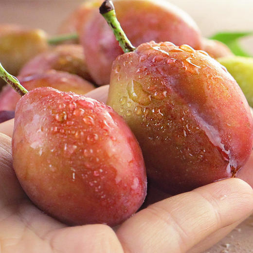 顺丰智利西梅鲜果超甜李子智利进口西梅新鲜孕妇水果2斤4斤装包邮