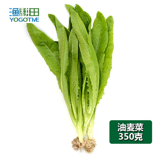 油麦菜 商品图0