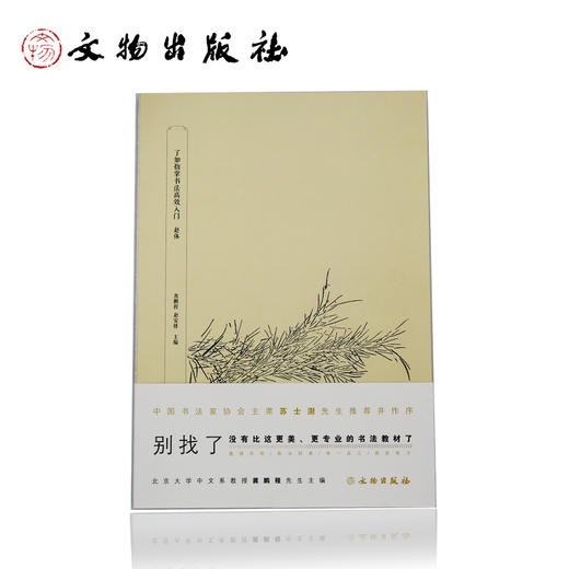 了如指掌书法高效入门 赵体 商品图0