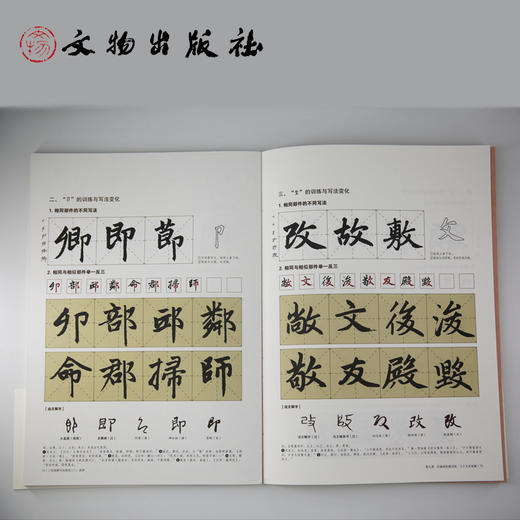 了如指掌书法高效入门 赵体 商品图1