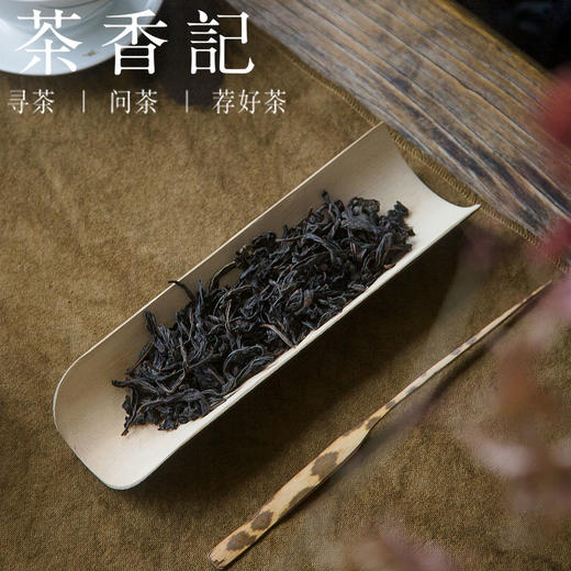 茶香记悟源涧老枞水仙武夷岩茶高香独特老枞味