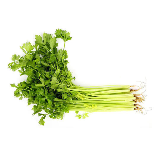 全国发货满额包邮 新鲜有机蔬菜 香芹250g欧盟认证 彩虹雨农场 商品图5