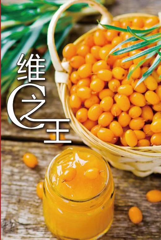 100%天然原浆【248ML* 2瓶装】 商品图2