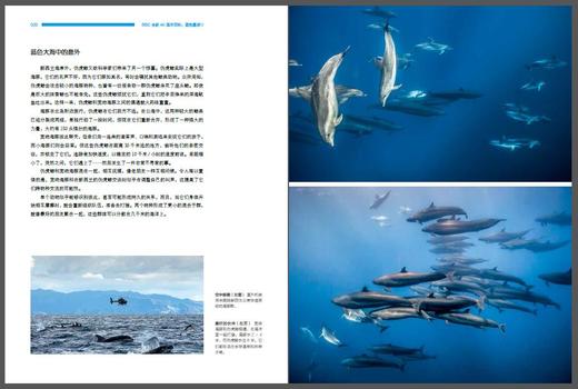 【图书】《BBC全新4K海洋百科：蓝色星球II》 商品图2