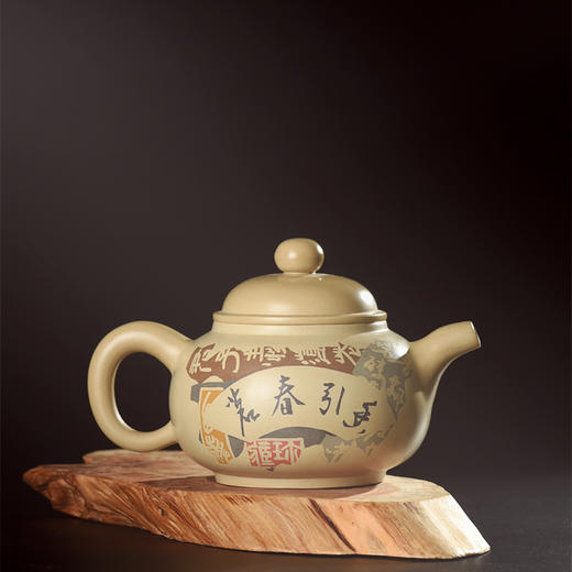 谭知凡壶 商品图1