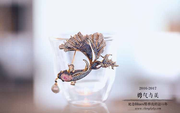 勇气与美，纪念Blues陪伴我的这一年