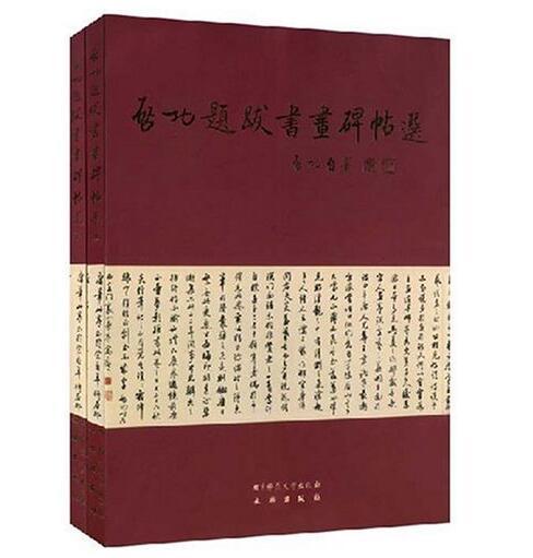 启功题跋书画碑帖选(上下册)(平) 商品图0