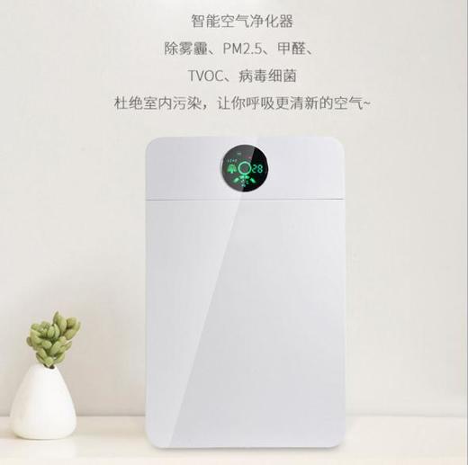 【家用电器】家用空气净化器除甲醛pm2.5 去异味雾霾生活小家电 商品图2