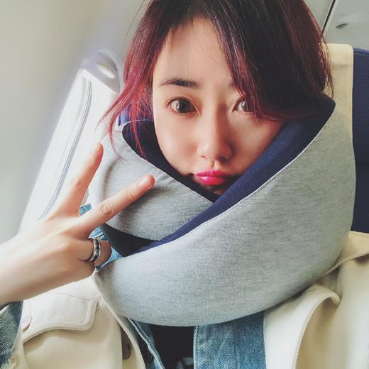 [屁侠推荐]西班牙设计 磁性记忆棉 护颈旅行 鸵鸟枕 商品图0