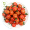 有机小番茄（千禧） 500g 商品缩略图0