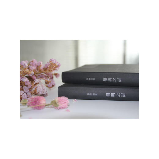 黎明之街 东野圭吾 著 悬疑 推理 文学 突破之作 一部比肩《白夜行》《秘密》的经典长篇小说 解忧杂货铺 中信书店 商品图2