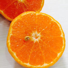 【甜弯弯精品纯甜沃柑】