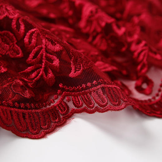 EITIE爱特爱女装秋季纱网蕾丝镂空大裙摆晚礼服连衣裙5777406 商品图3