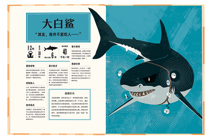 大白鲨"其实,我并不爱吃人……"危险敌人人类.