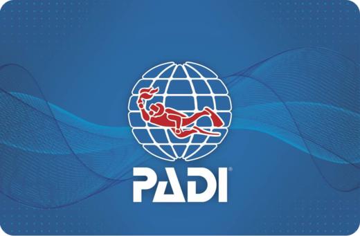 顺丰到付padi2019年限量卡环保卡padiprojectaward捐款基金